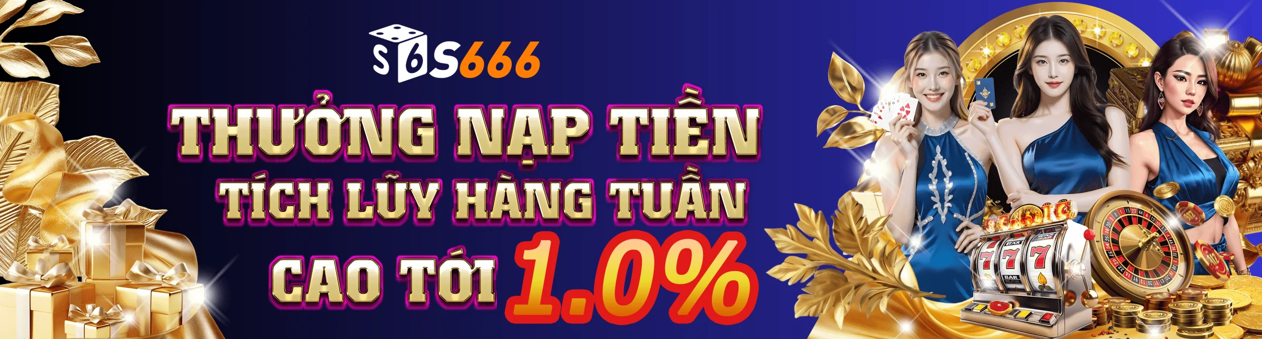 S666 Banner